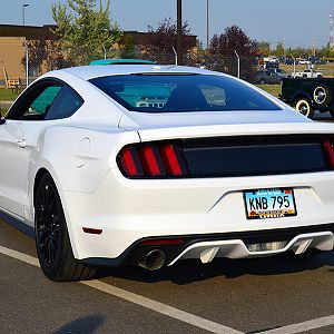 DSC 0654a