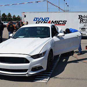 DSC 0339a