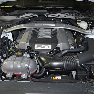 DSC 0335a