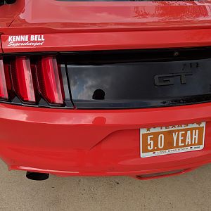 9 - back