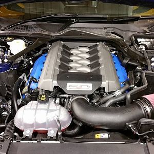 JLT cold air induction, Hydraulic lifts & Blue Boss 302 cam covers