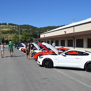 DSC 0791