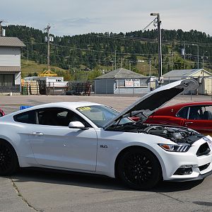 DSC 0726