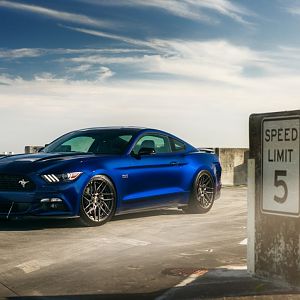 bluestang