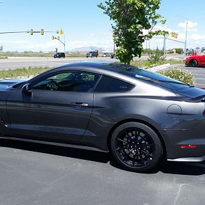 Rancherogt's GT350, someone from British Columbia