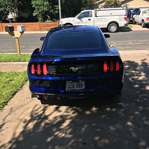 Rear