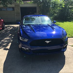 Front view
