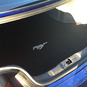 New Trunk Mat