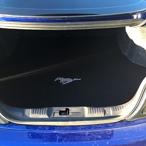 New Trunk Mat