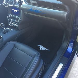 New Floor Mat