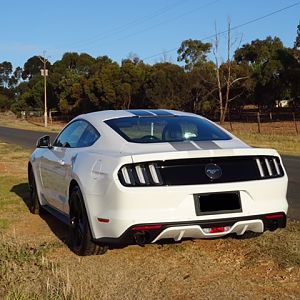 2915 Ecoboost