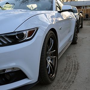 DSC 0424a