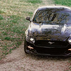 Before Roush Mods