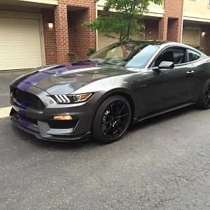 Fresh wash after her long winters nap.