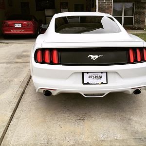 ecoboost when I brought her home and my sn95 331 stroker motor in garage miss her also