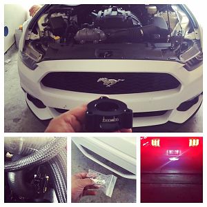 2015 ecoboost was a very fun car to drive mod was a blow off valve and HID reverse light