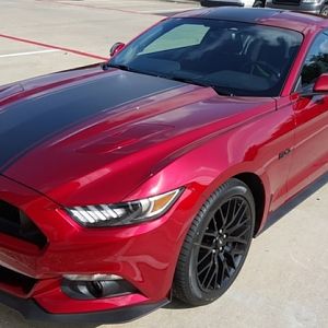 Big Worm Super Snake Stripes