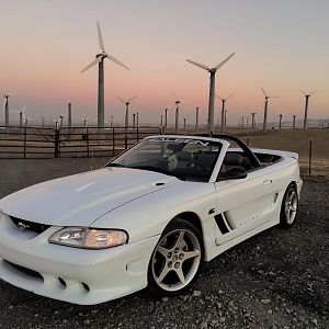 6652.jpg