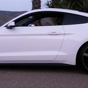 Mustang w Niche
