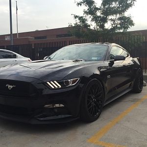stang bk brg2