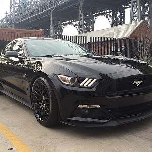 stang bk brg1