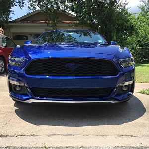 Headlight splitters and painted pony emblem.