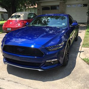 Headlight splitters and painted pony emblem.