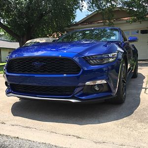 Headlight splitters and painted pony emblem.