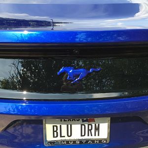 Painted decklid emblem