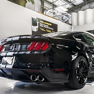 Brads Shelby GT350