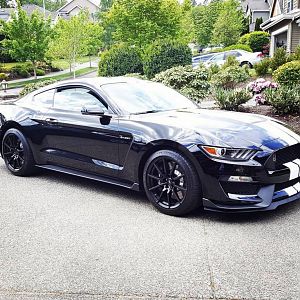 BW 2016 Shelby GT350