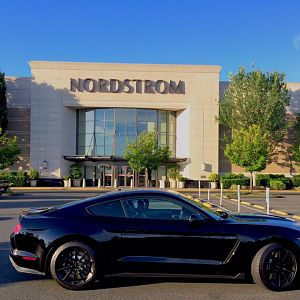 Nordstroms GT350