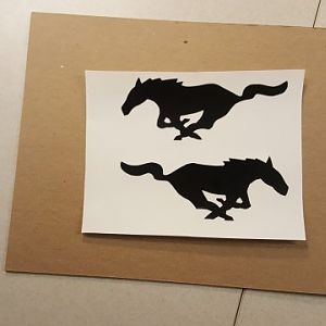 Pony3