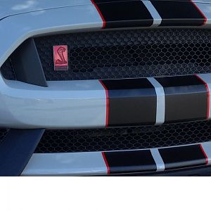 fsr