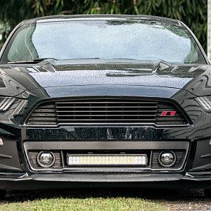 We added a super bring light bar in the empty space on the lower grille of the Roush front fascia.