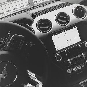 rsz 1imag0576