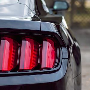 My favorite tail lights of all! This is what initially sold the new look for me.