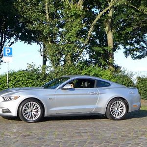 Silvy 5.0 Mustang GT Auto PP Elena Bücker Alois Buecker 01