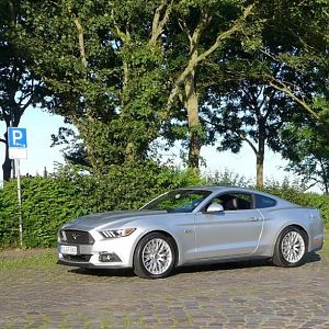 Silvy 5.0 Mustang GT Auto PP Elena Bücker Alois Buecker 03