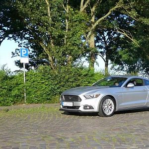 Silvy 5.0 Mustang GT Auto PP Elena Bücker Alois Buecker 04