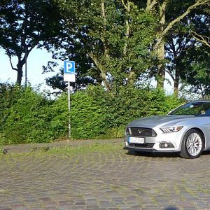 Silvy 5.0 Mustang GT Auto PP Elena Bücker Alois Buecker 05