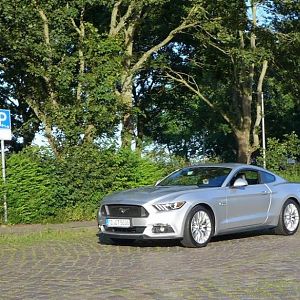 Silvy 5.0 Mustang GT Auto PP Elena Bücker Alois Buecker 06