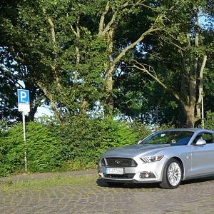 Silvy 5.0 Mustang GT Auto PP Elena Bücker Alois Buecker 07