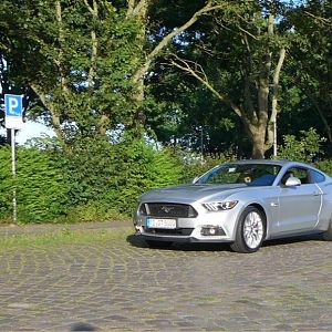Silvy 5.0 Mustang GT Auto PP Elena Bücker Alois Buecker 08