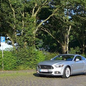 Silvy 5.0 Mustang GT Auto PP Elena Bücker Alois Buecker 09