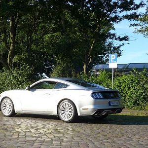 Silvy 5.0 Mustang GT Auto PP Elena Bücker Alois Buecker 12