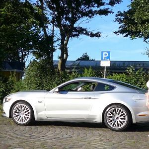 Silvy 5.0 Mustang GT Auto PP Elena Bücker Alois Buecker 19