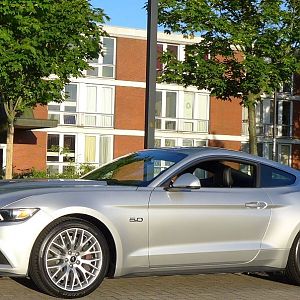 Silvy 5.0 Mustang GT Auto PP Elena Bücker Alois Buecker 27