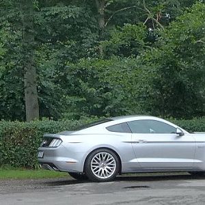 Silvy 5.0 Mustang GT Auto PP Elena Bücker Alois Buecker 35