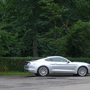 Silvy 5.0 Mustang GT Auto PP Elena Bücker Alois Buecker 36